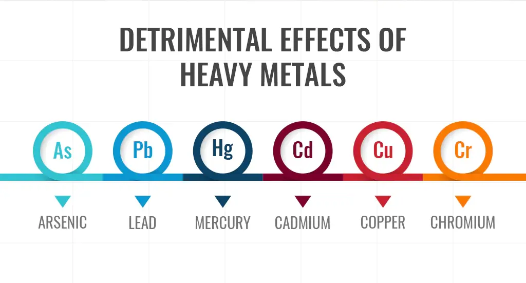 effects of heavy Metals