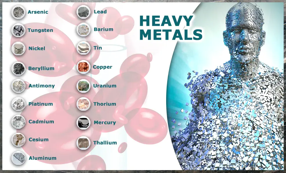 Heavy Metals in Body